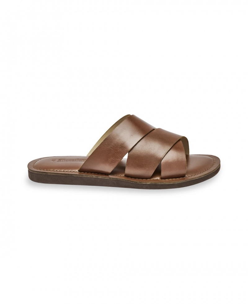 Mules Les Tropeziennes EDISON Tan Homme|YGBM-18337895